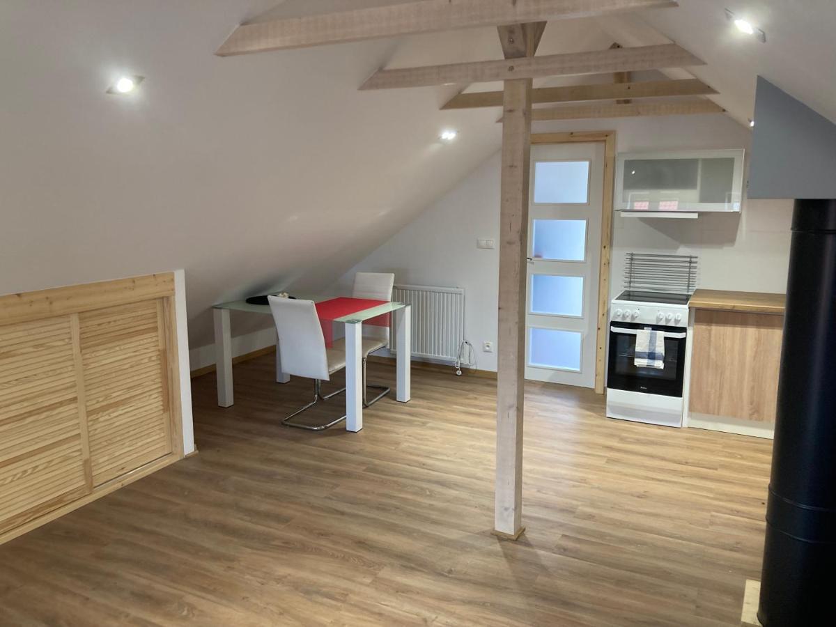 Dum U Lipky Apartment Svetla nad Sazavou Luaran gambar